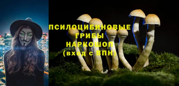 Альфа ПВП Гусиноозёрск