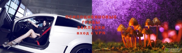 Альфа ПВП Гусиноозёрск