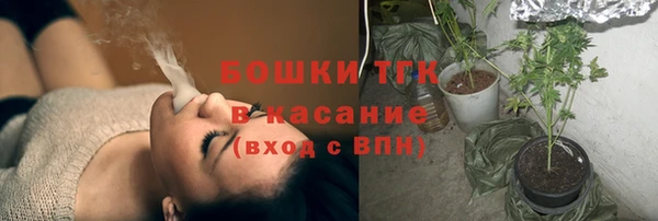 стафф Гусев