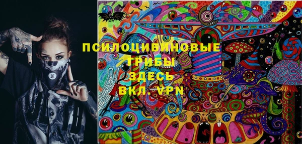 Альфа ПВП Гусиноозёрск