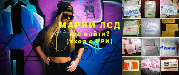 стафф Гусев