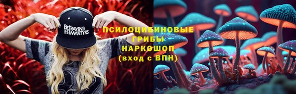 стафф Гусев