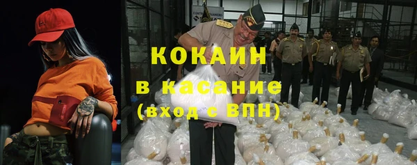 стафф Гусев