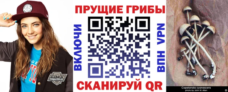 Псилоцибиновые грибы ЛСД  Верхняя Салда 