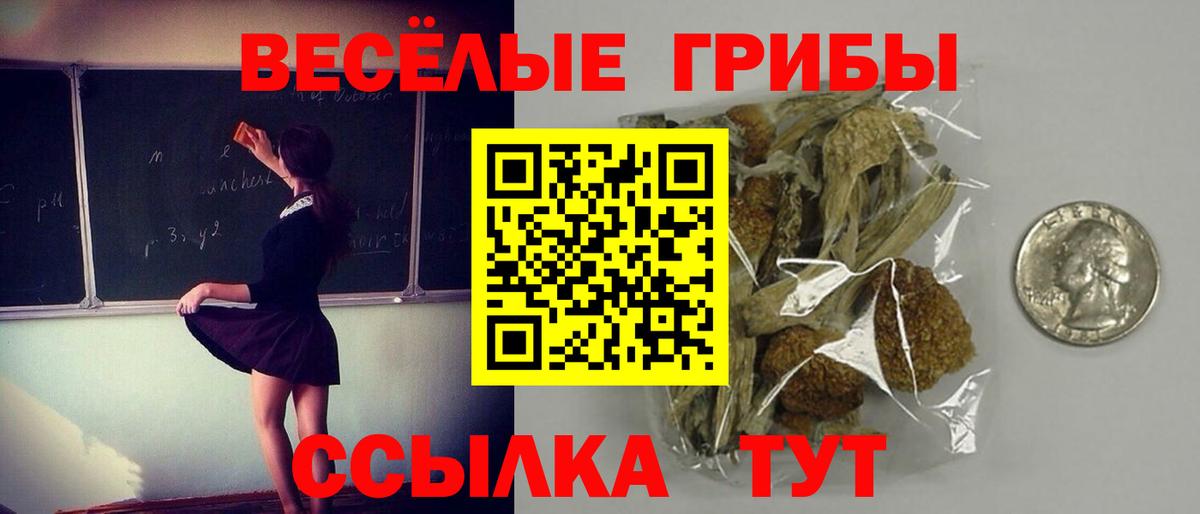Верхняя Салда  Галлюциногенные грибы GOLDEN TEACHER  Вход с VPN  Галлюциногенные грибы Cubensis 