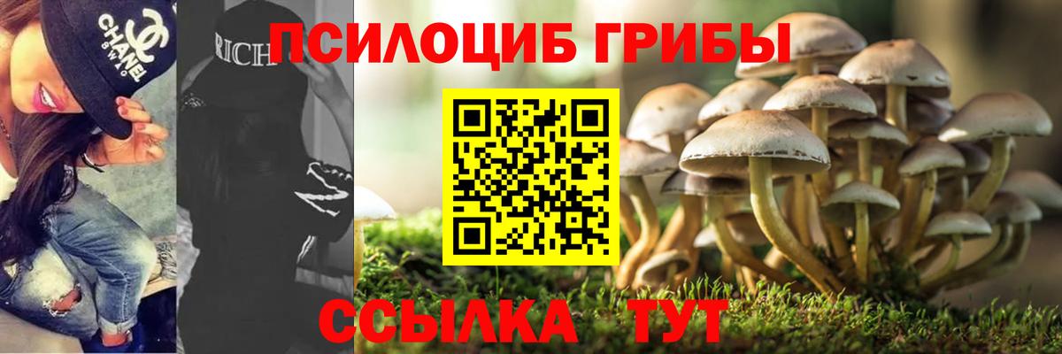 Псилоцибиновые грибы прущие грибы Верхняя Салда