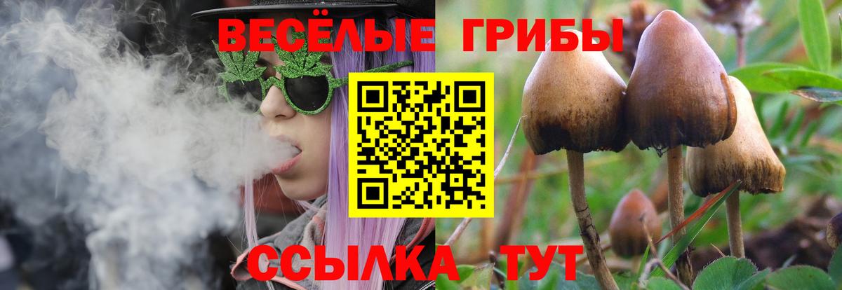 Галлюциногенные грибы прущие грибы  Псилоцибиновые грибы Magic Shrooms  Верхняя Салда 