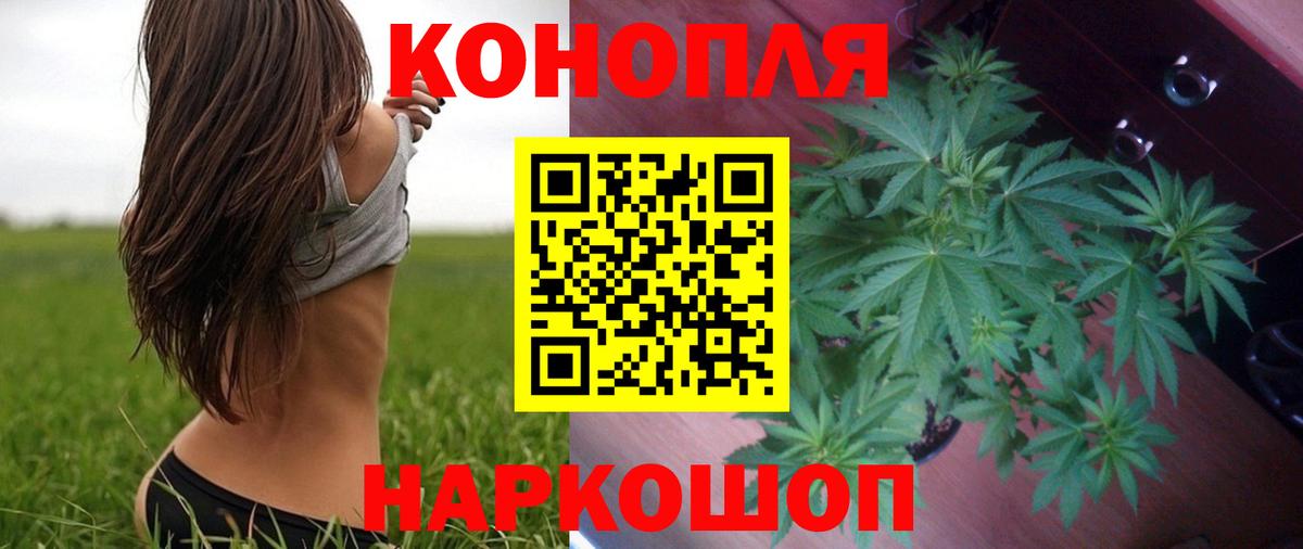 Бошки марихуана ГИДРОПОН  МАРИХУАНА тримм  Верхняя Салда  Вход с VPN  Бошки марихуана White Widow 